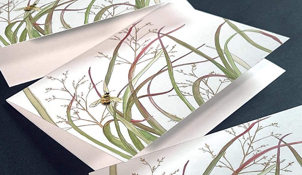 Show details for $20 Folded Cards!