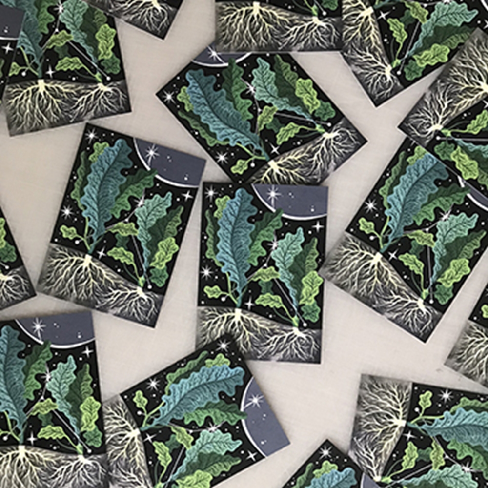 Show details for Postcards