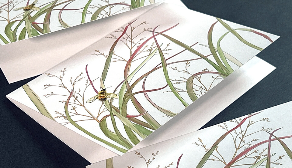 Show details for $20 Folded Cards!